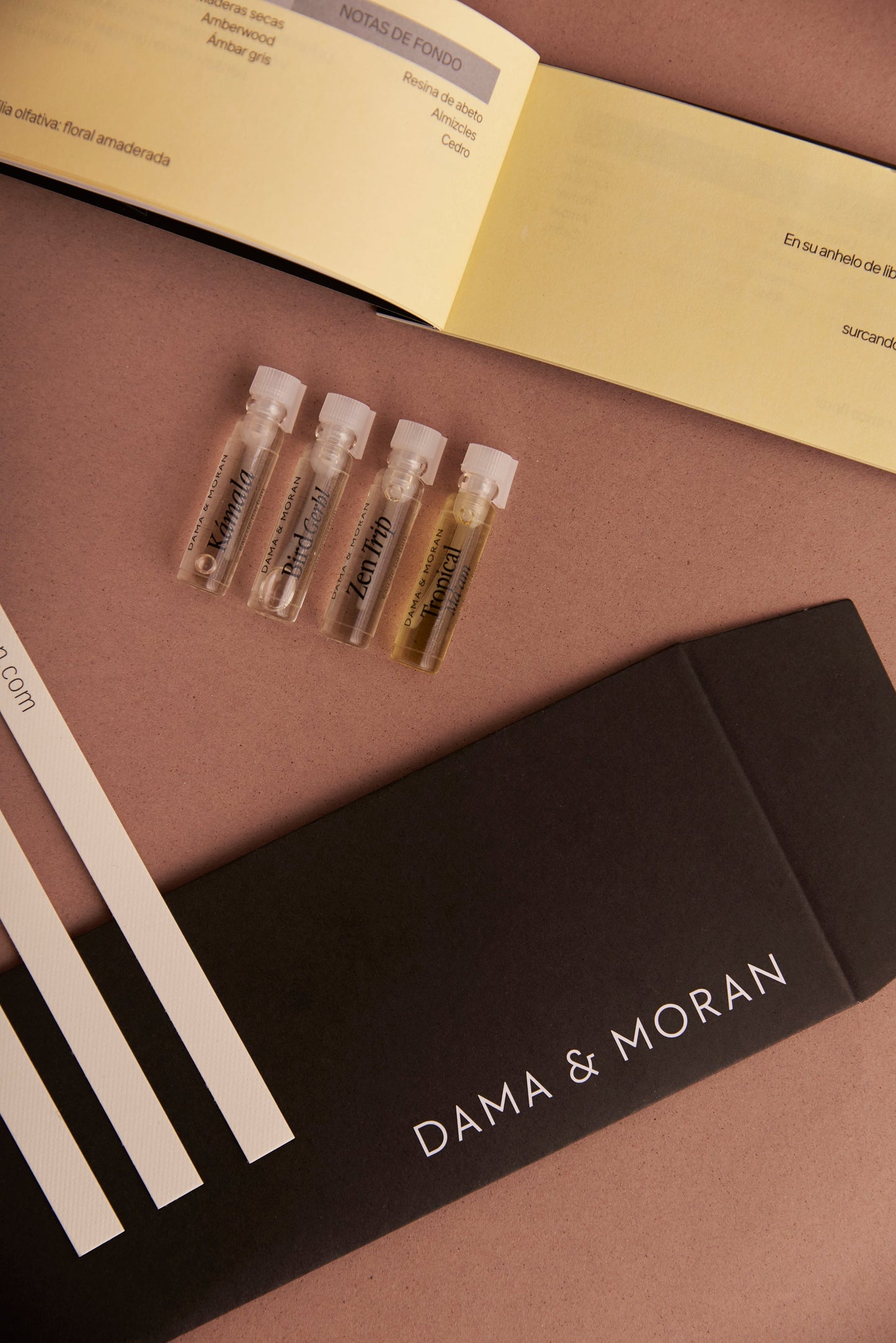 Tarjeta de Regalo - Perfumes Femeninos