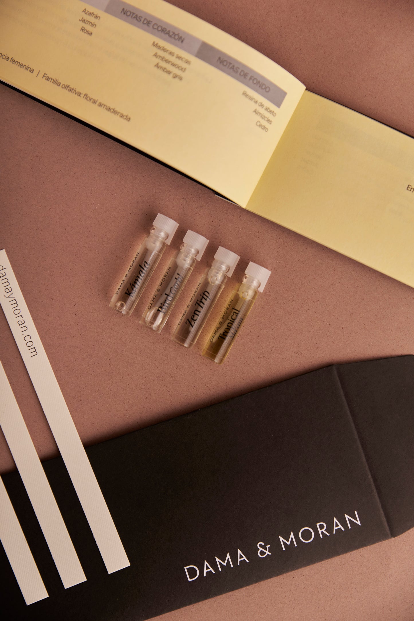 Experiencia Olfativa x 7 Perfumes